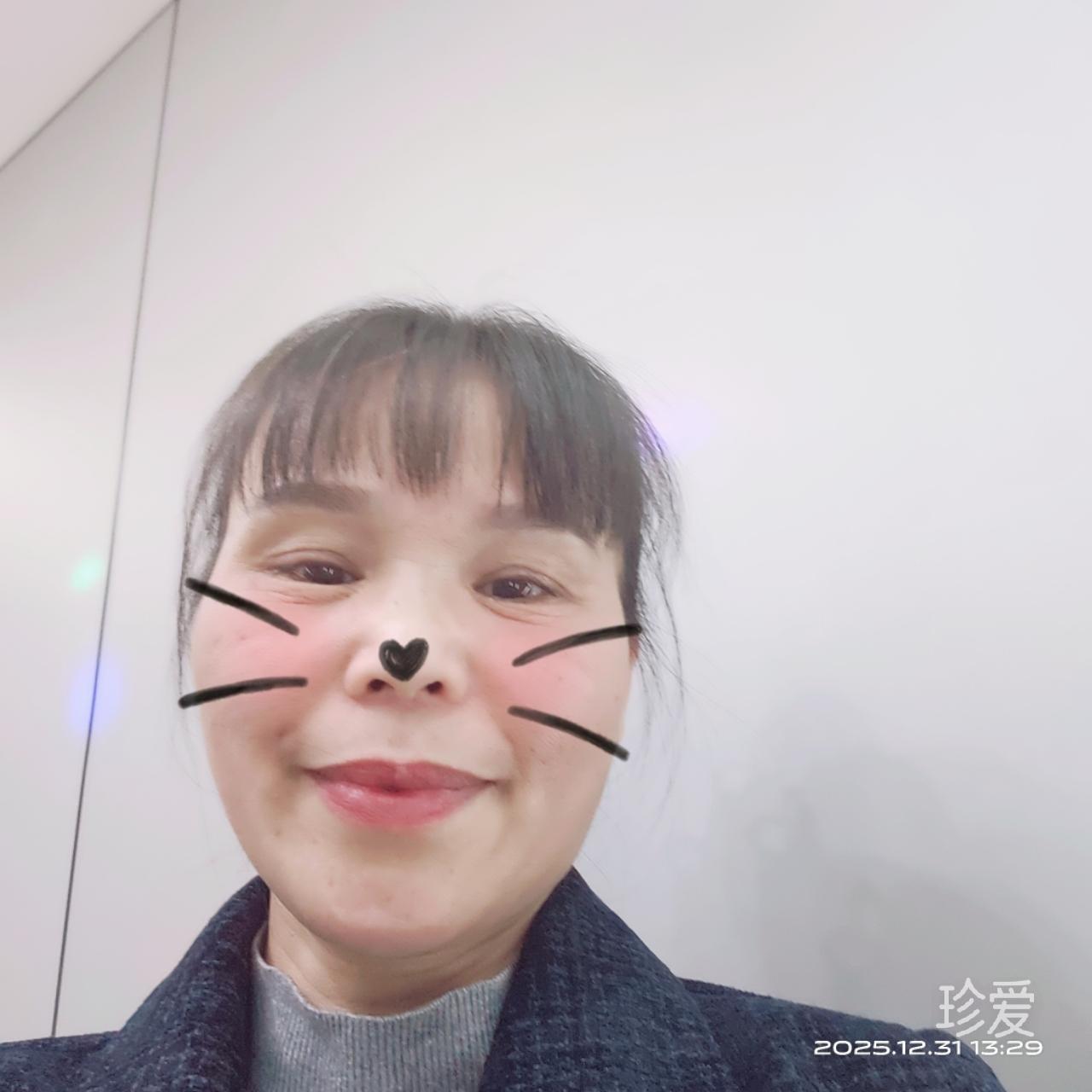 罗凡涅米