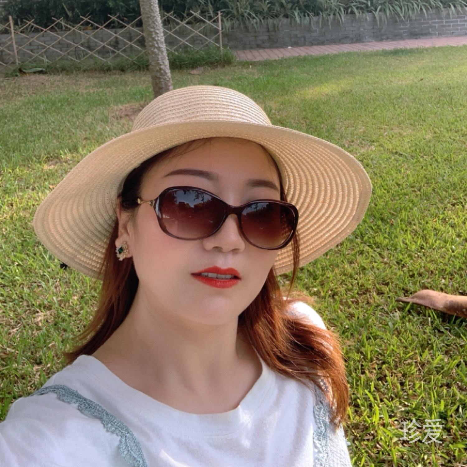海边的螃蟹