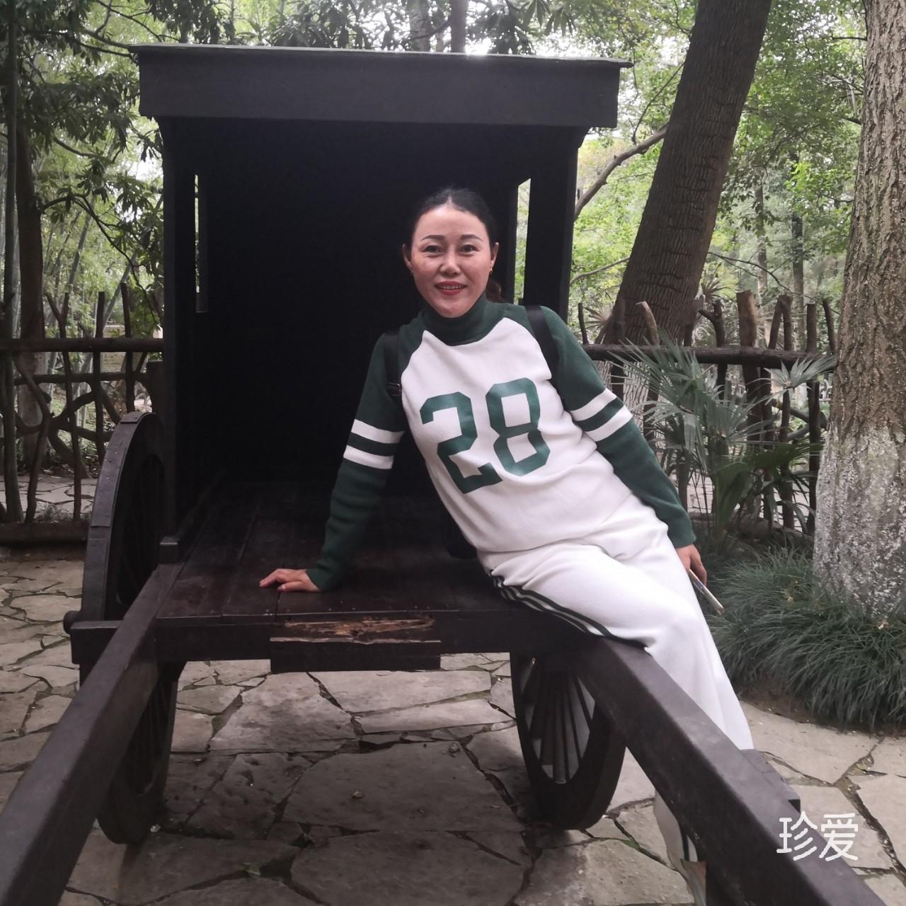 風雨中的蒲公英