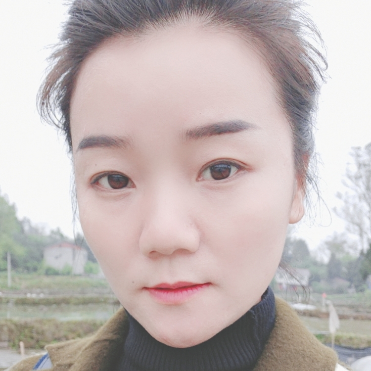 永不放棄的候鳥