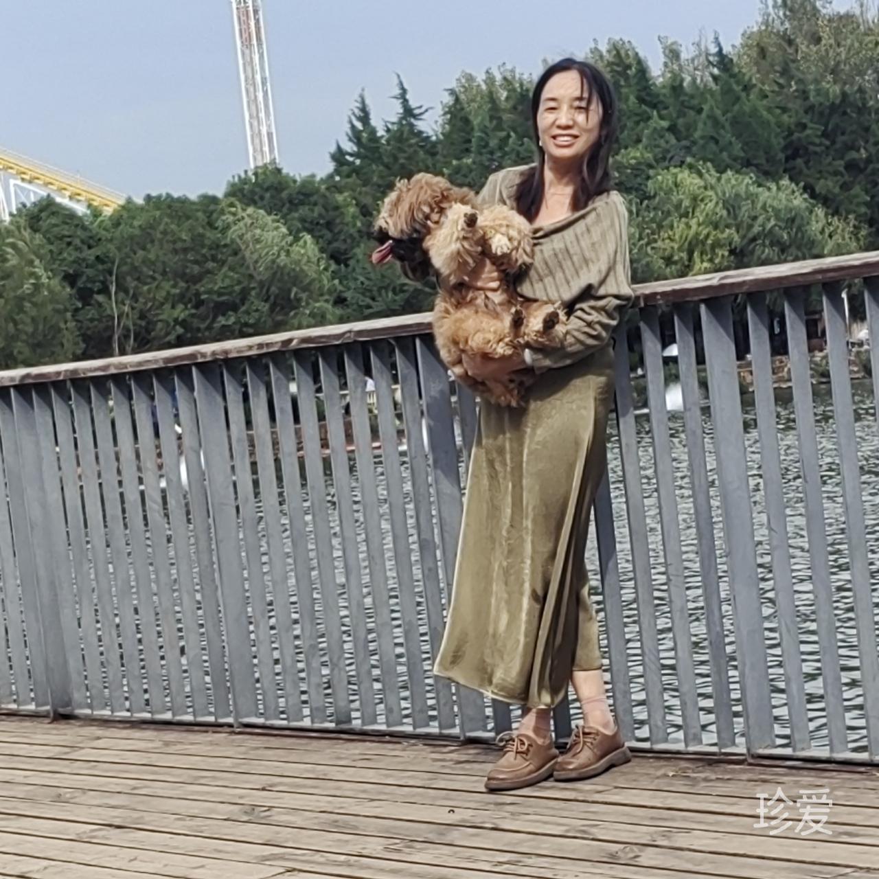 只为遇见那个你
