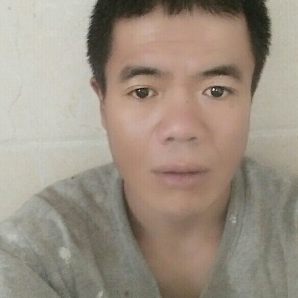 迷失方向的狼