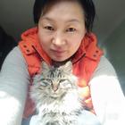 知否知否