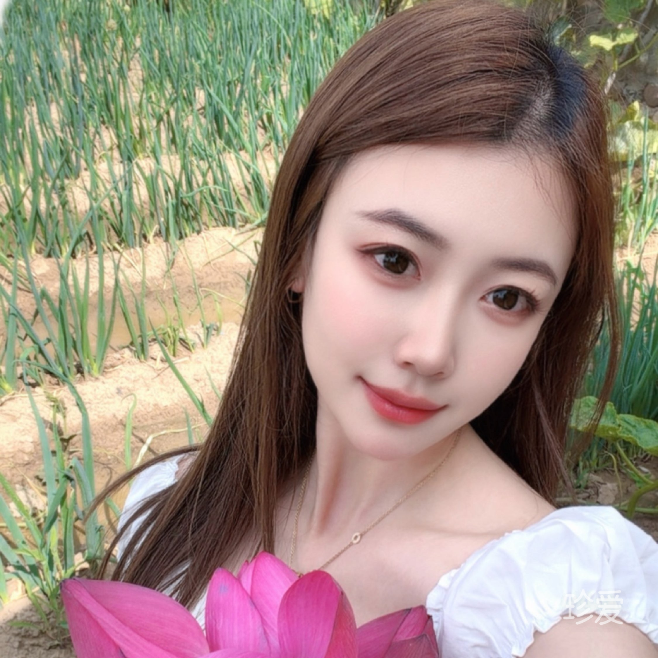 回旋木马