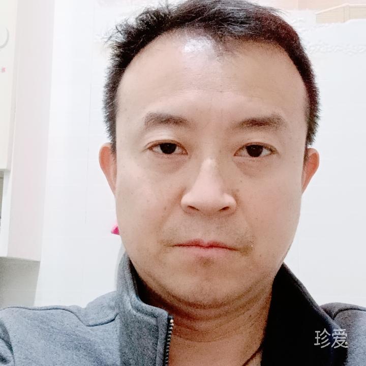 一片树叶的清凉