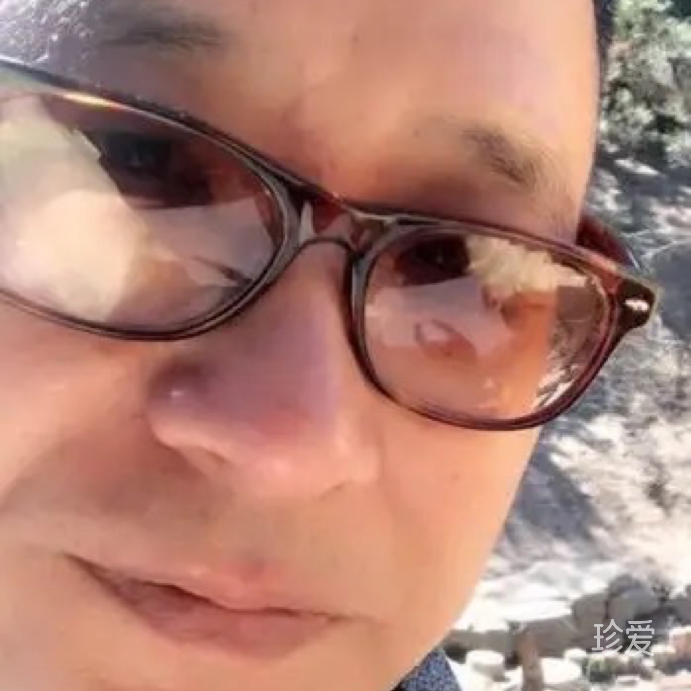 等爱入心