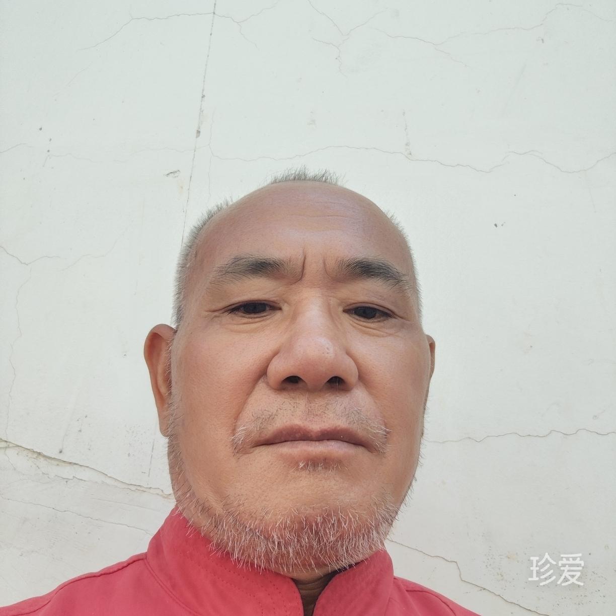 不了情