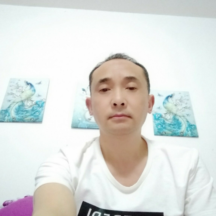 這個世界我不懂