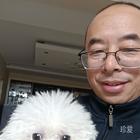 等待的候鳥(niǎo)