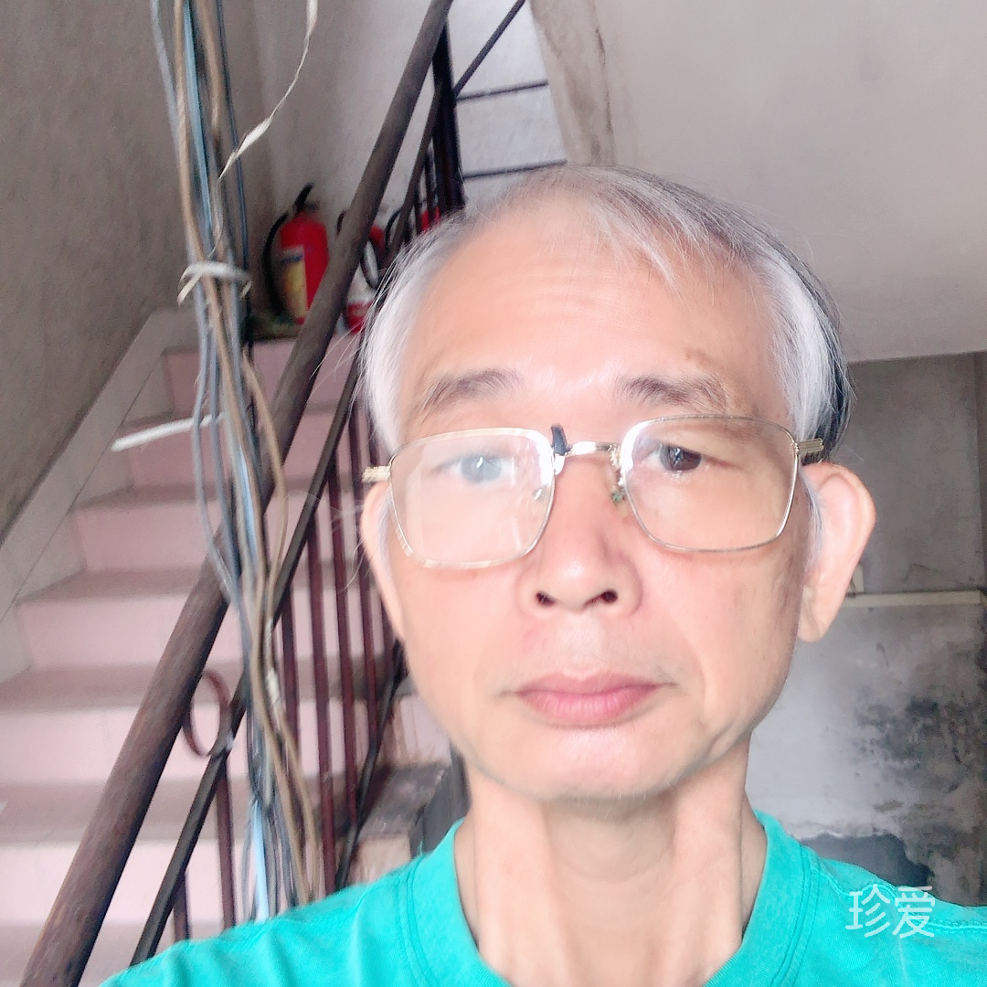 左岸春天