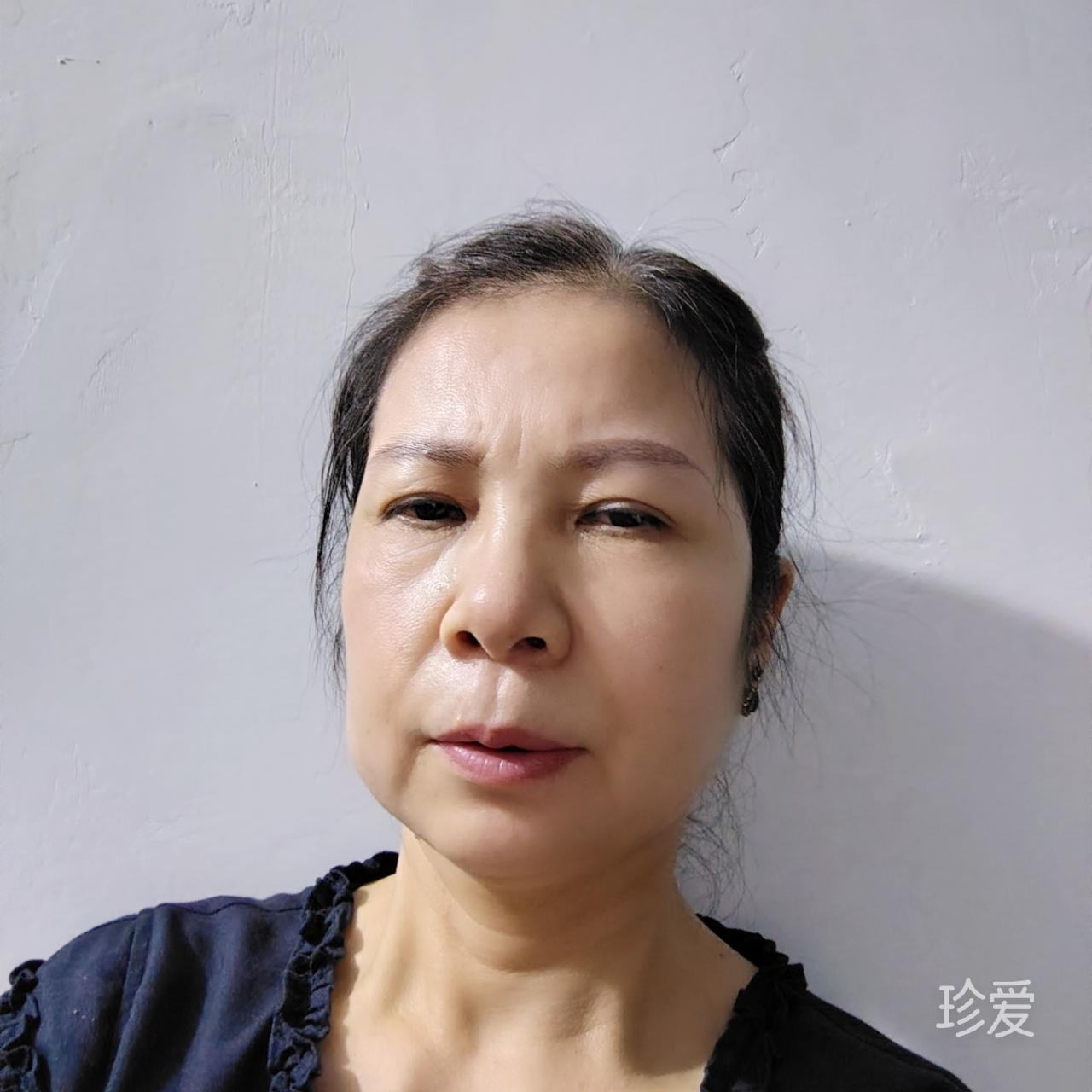 梦未来再见