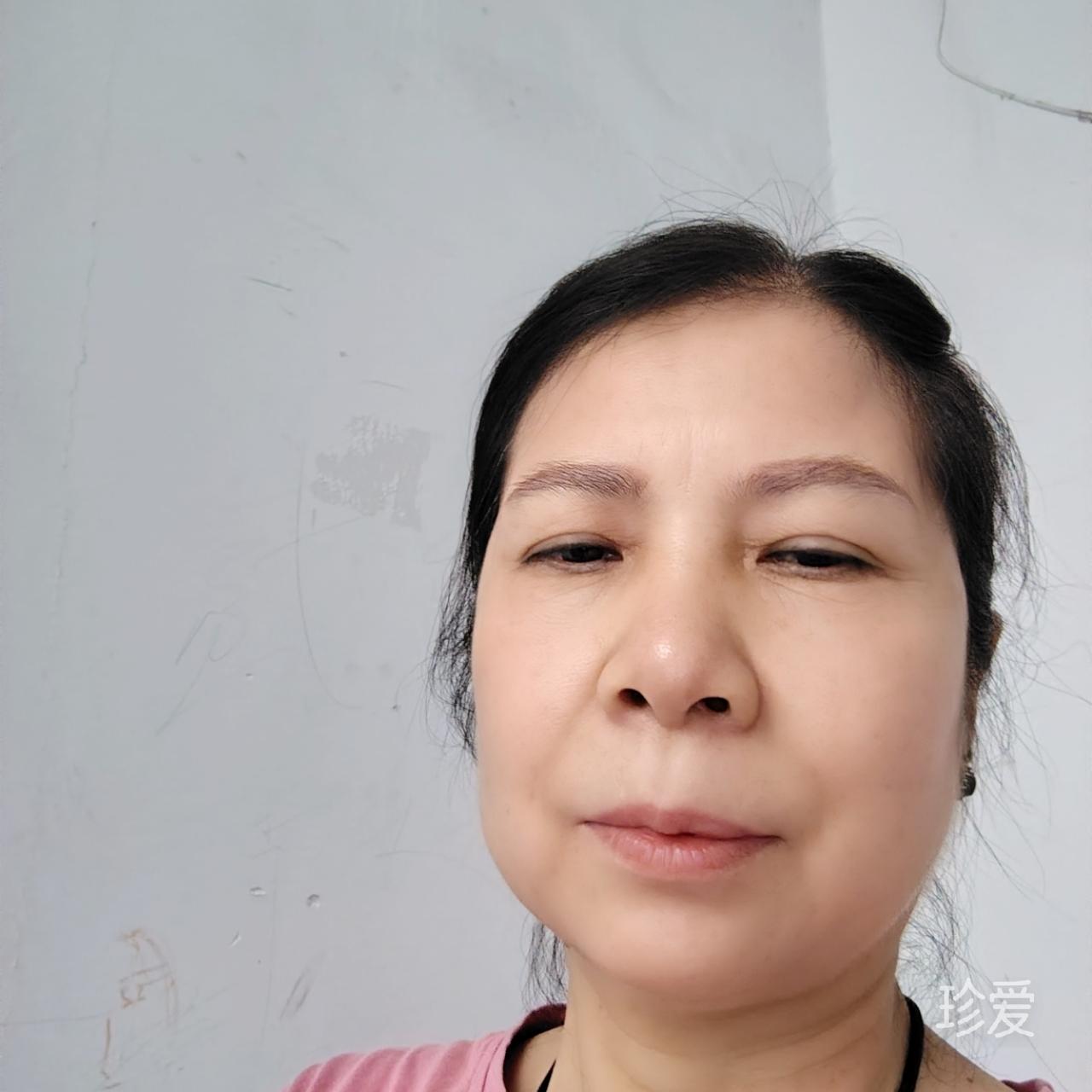 梦未来再见