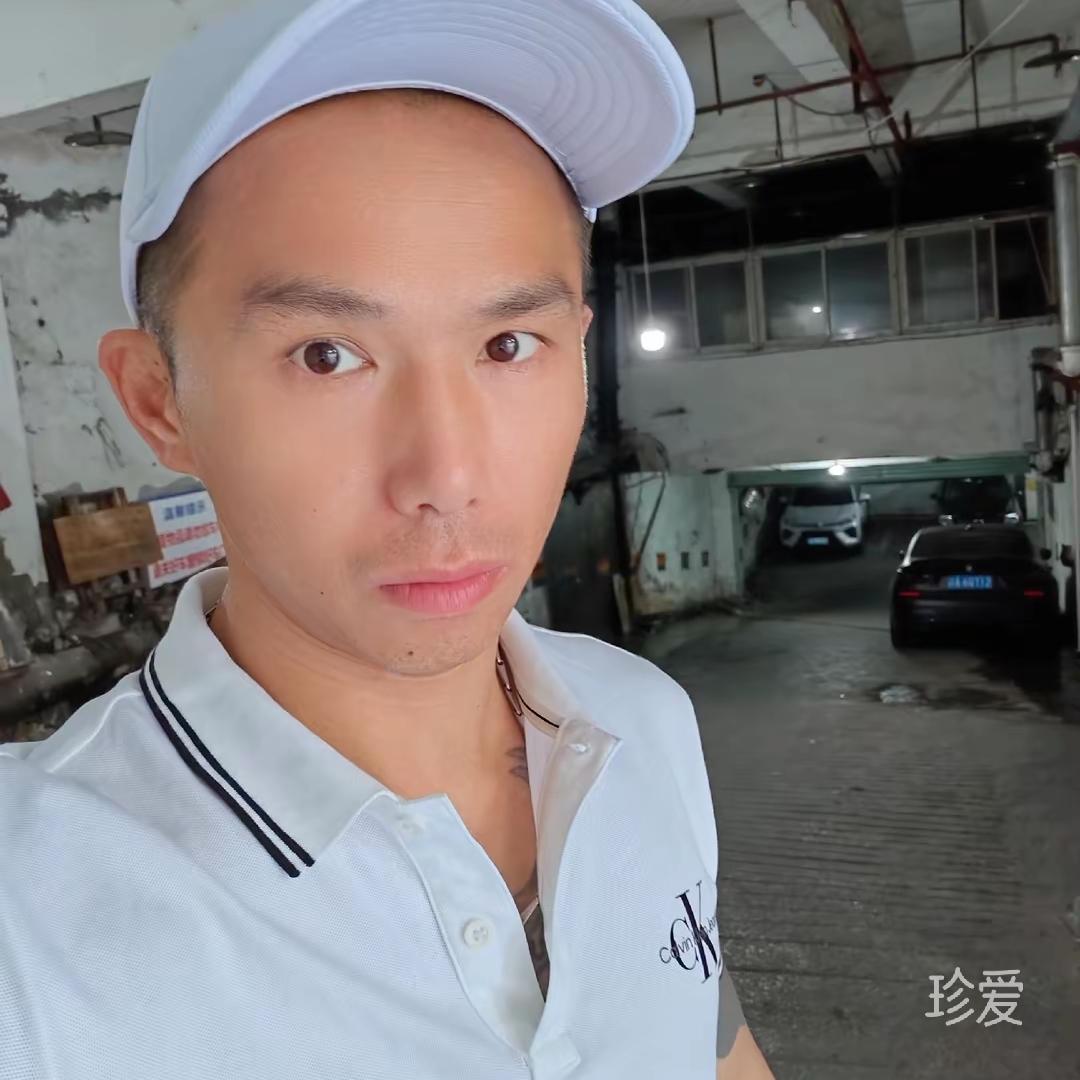 听风的鸟