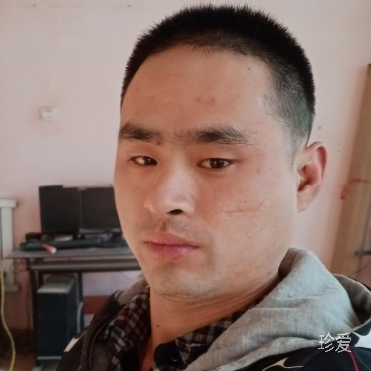 昨夜星辰昨夜雨