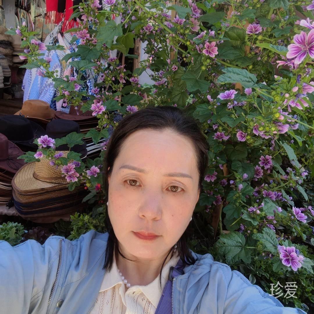 风的样子