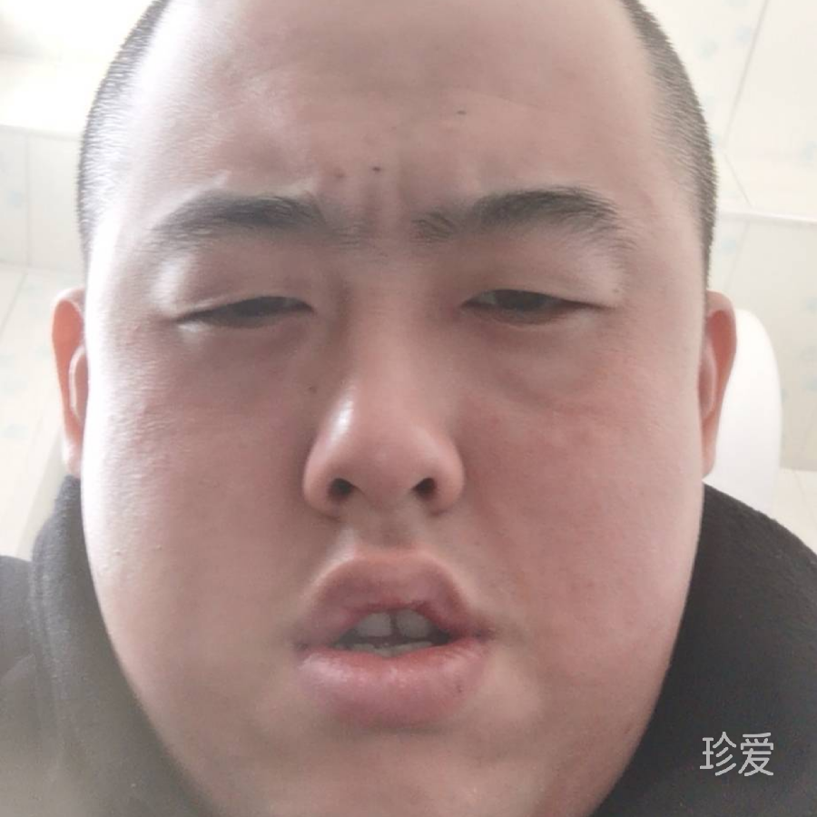 落花飘雪施玉强
