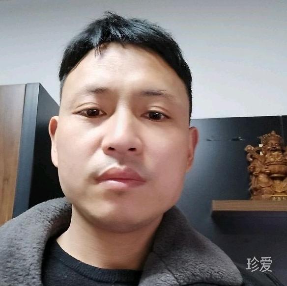 真心真意