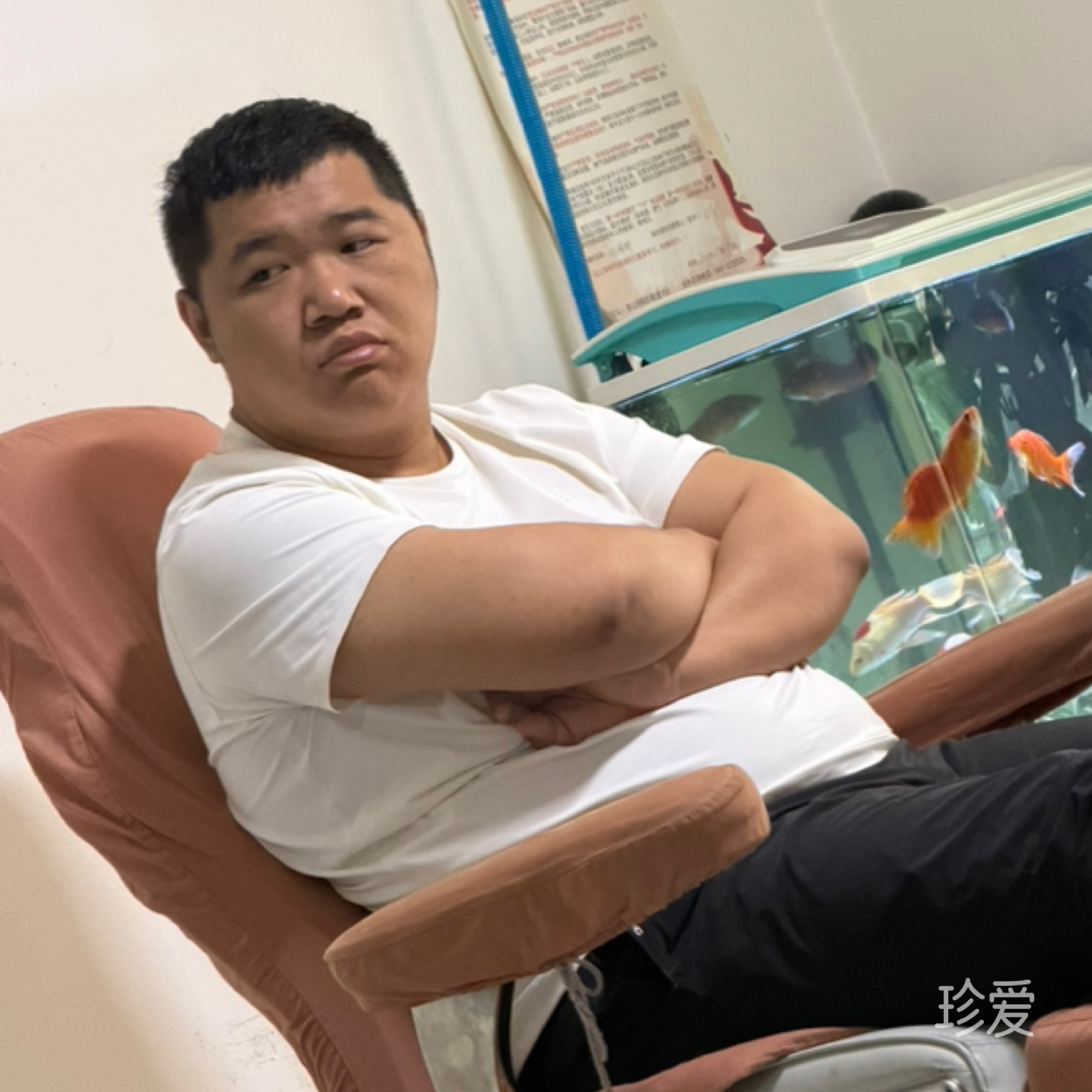 寻她人