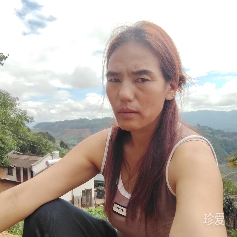 秦儿