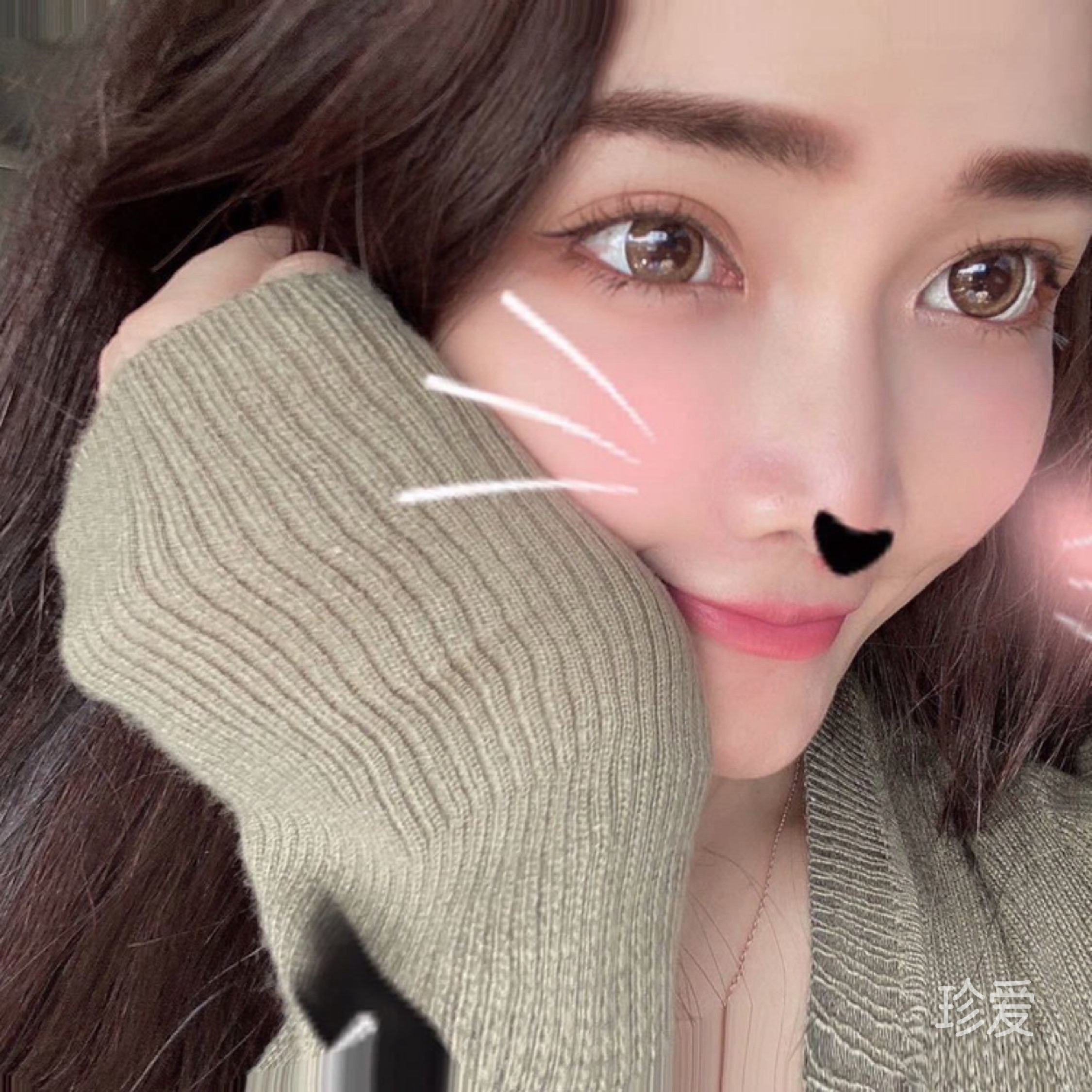 呆气小辫兔