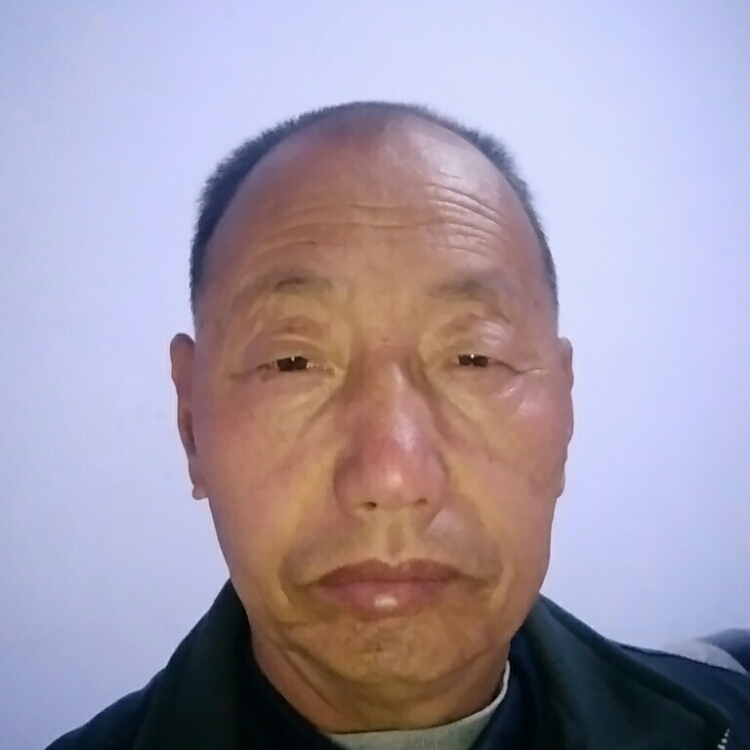 秋风不懂落叶情