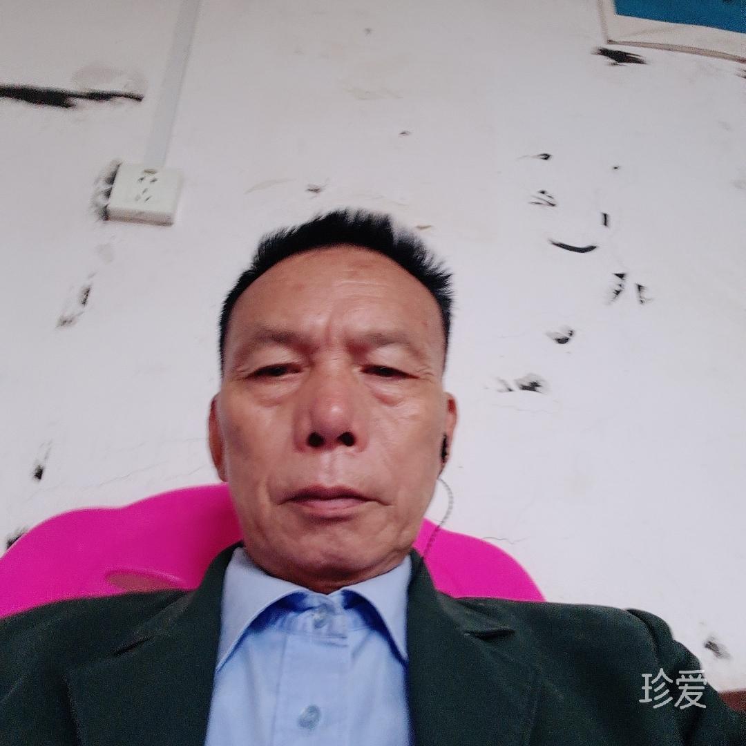 杯杯