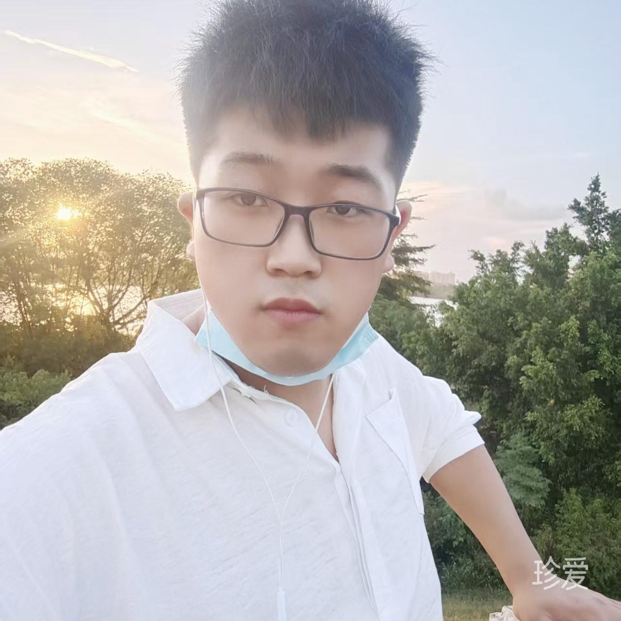 枯木与海
