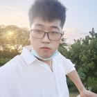 枯木与海