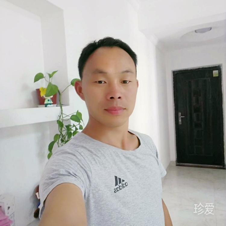 生命的过客