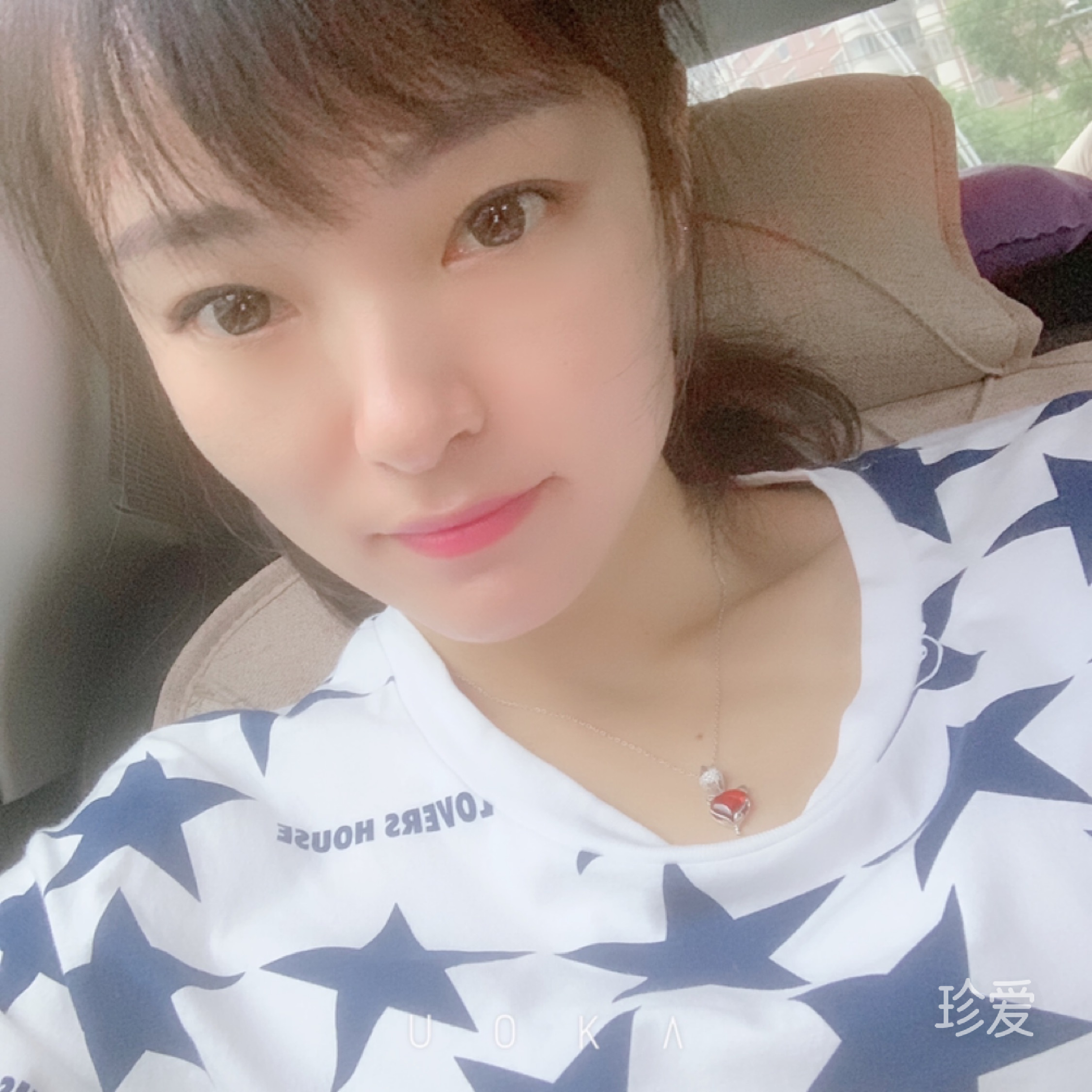 梧桐树下