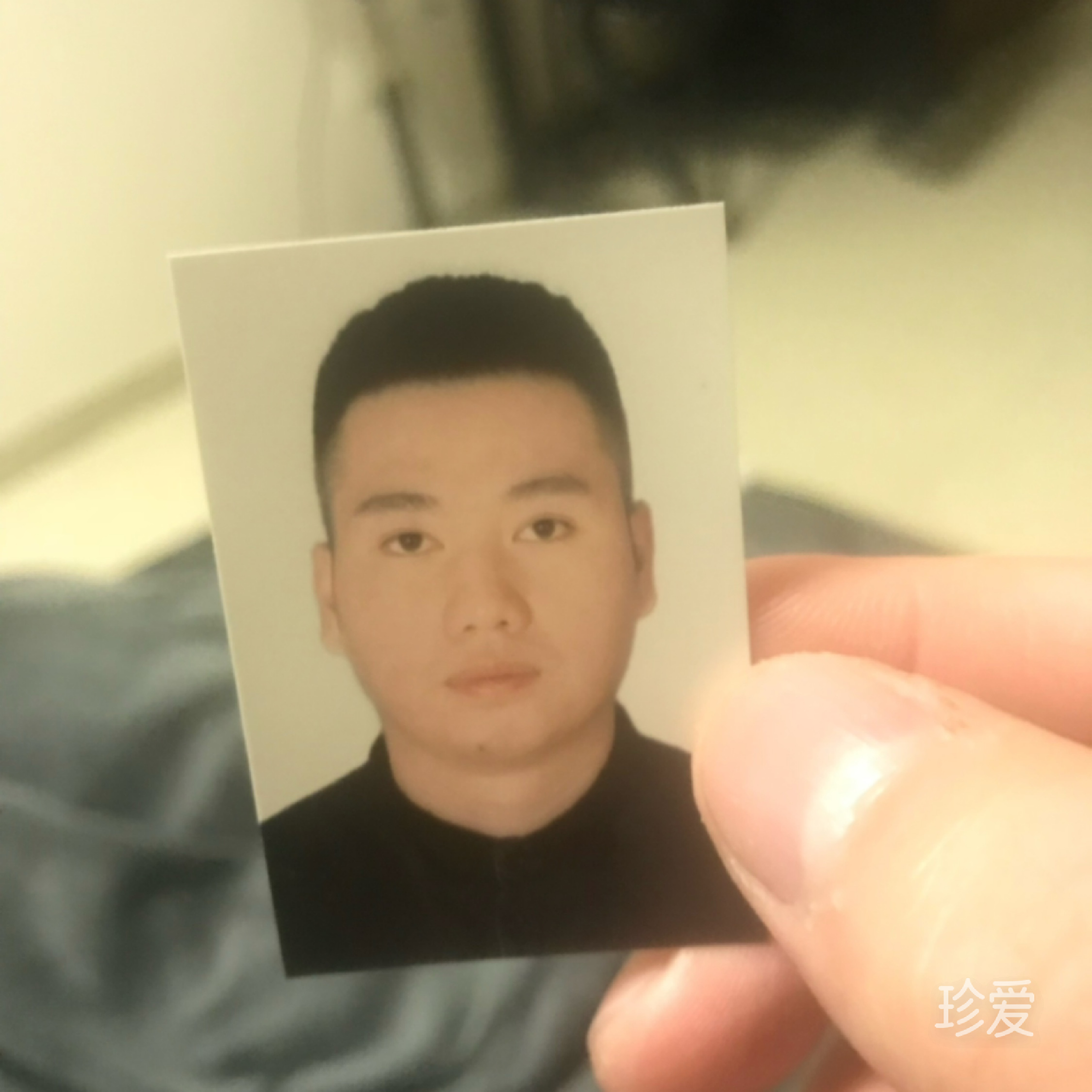白蒙蒙的乔