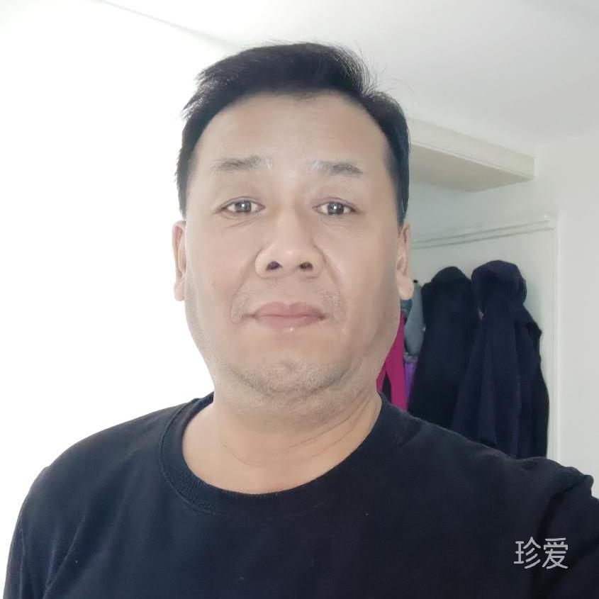 戈壁胡杨
