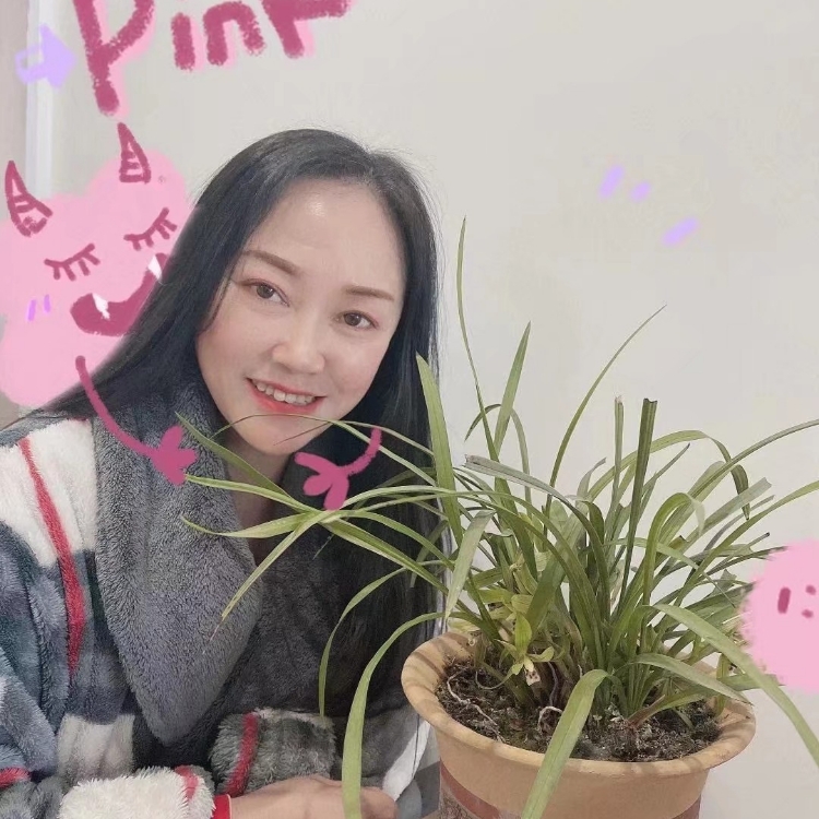 旧时天气旧时衣