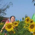 明明如月
