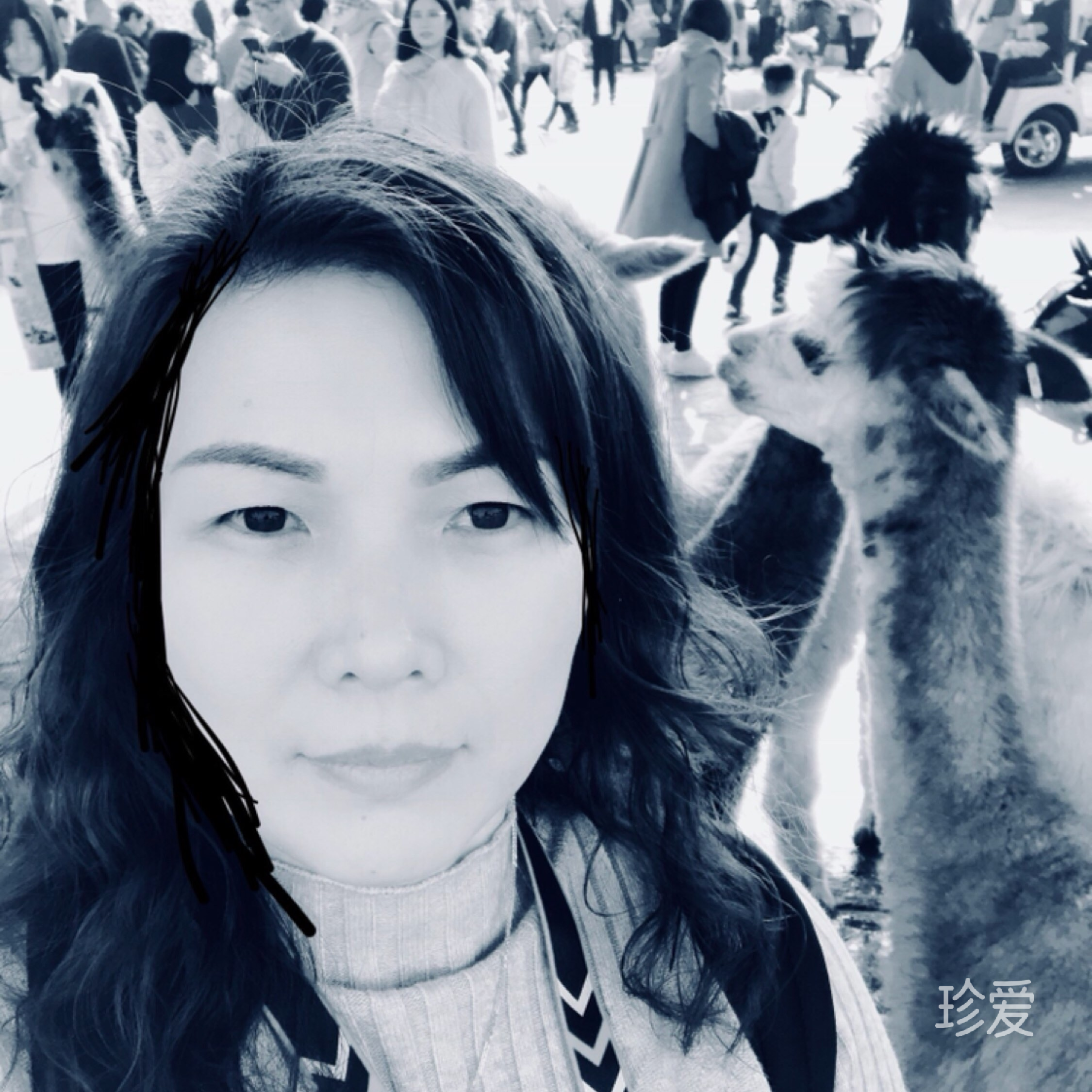 秋天的落叶