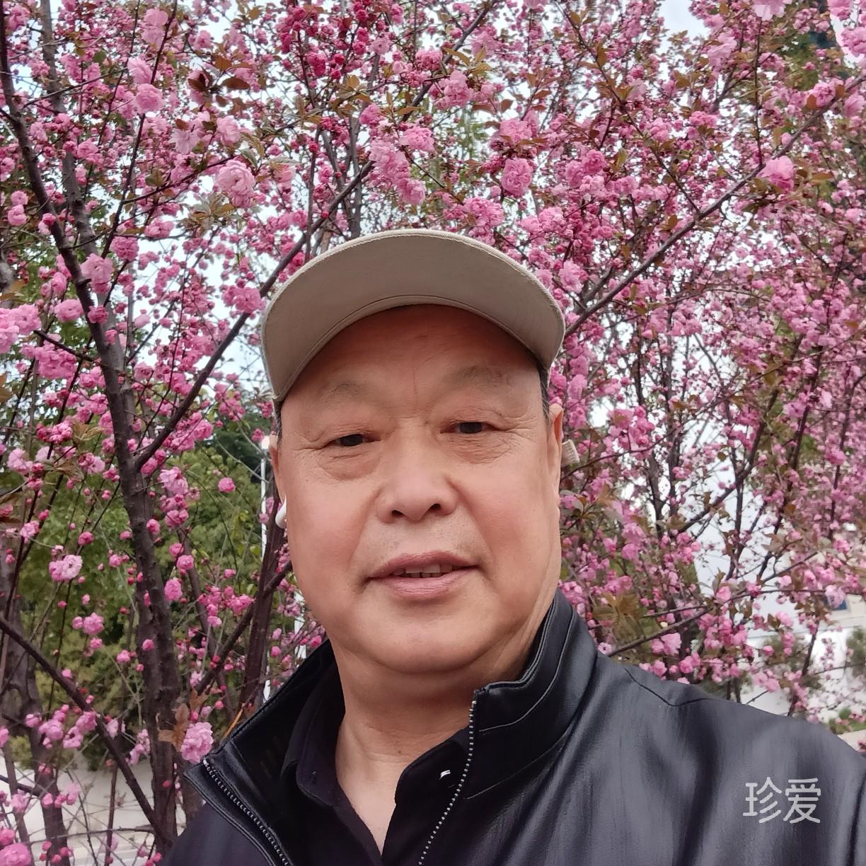 打伞的鱼