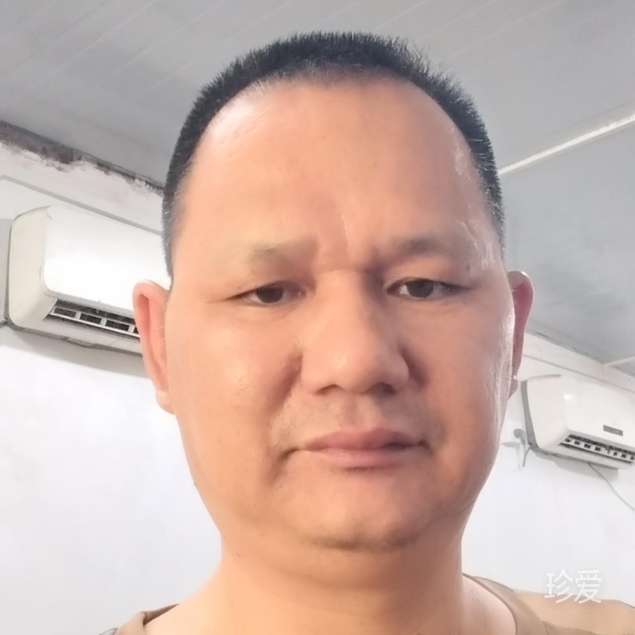 剑鱼在山上