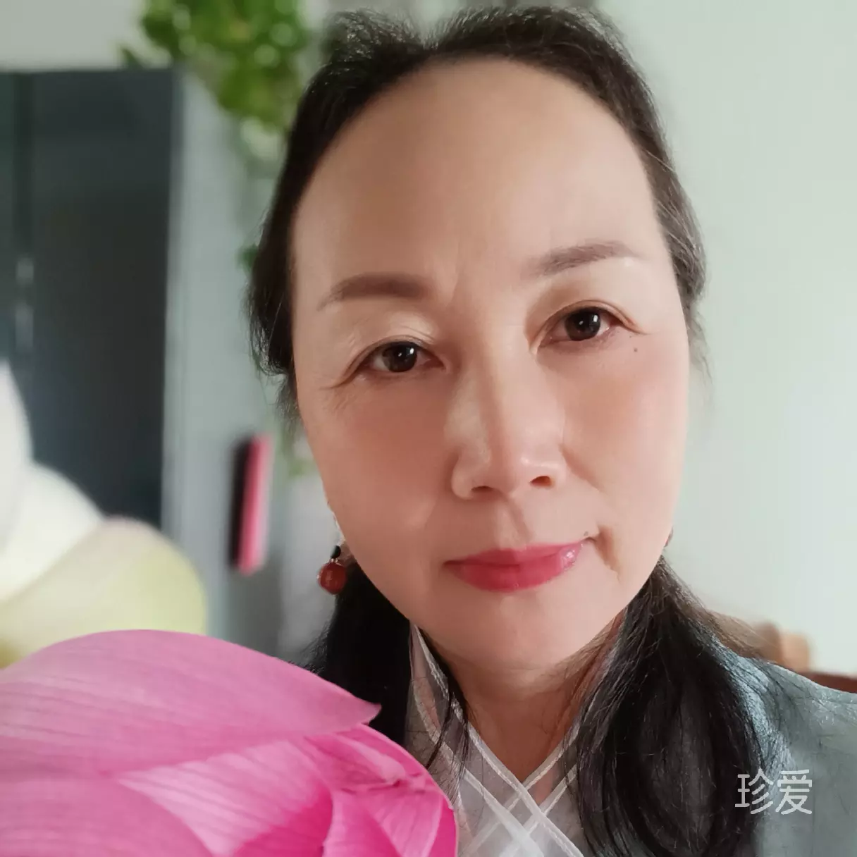 云晞弦