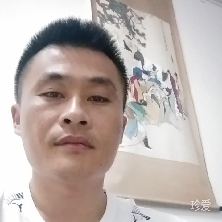金龙腾飞
