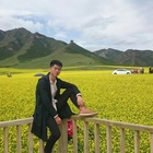 一只特立獨(dú)行的豬