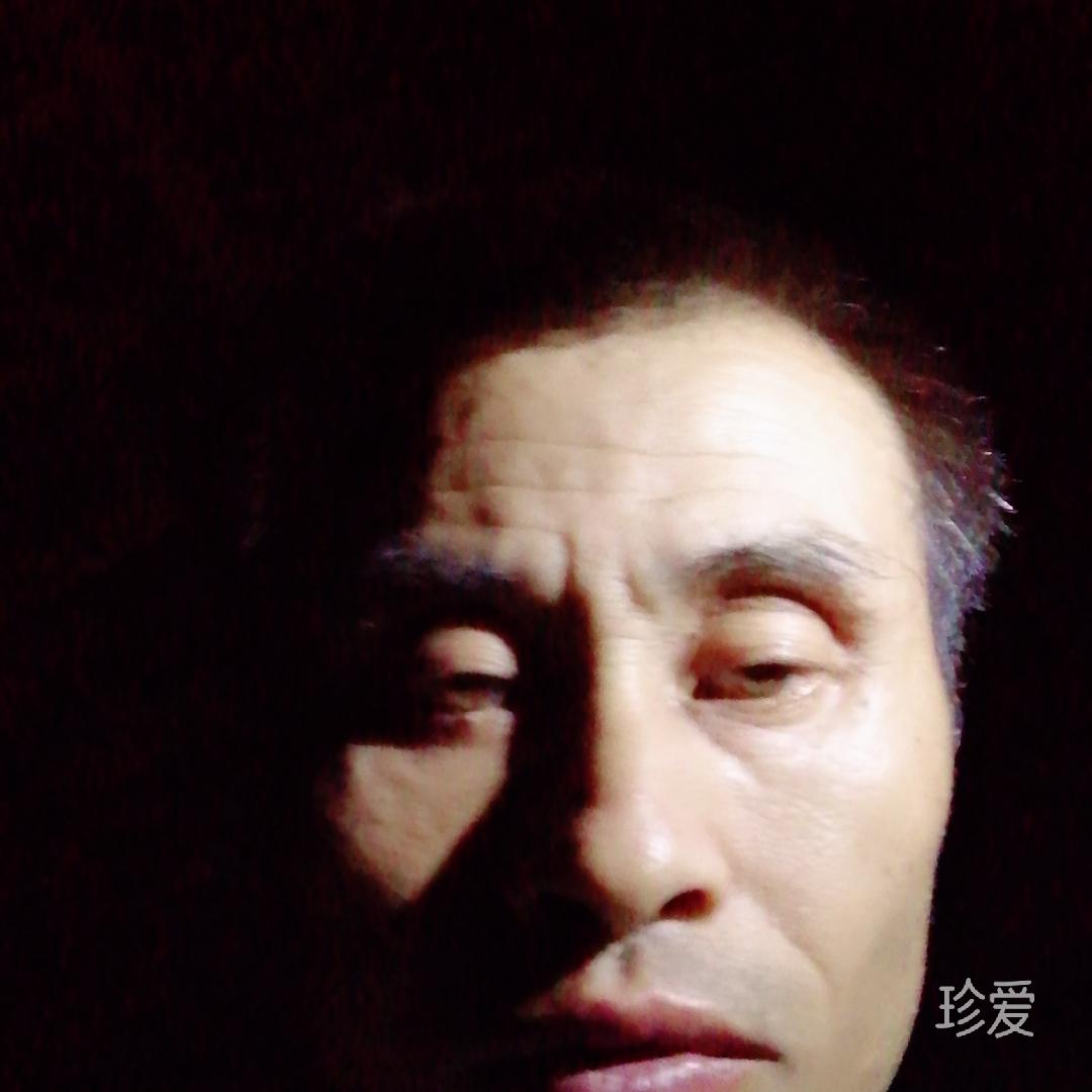 傲雪飞扬