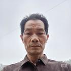 小草