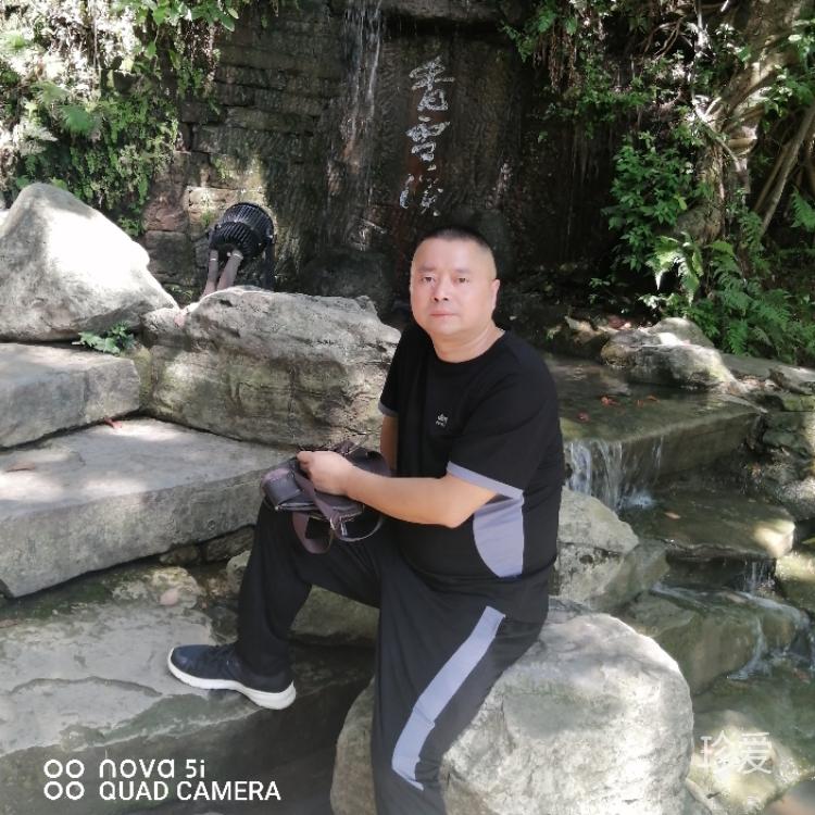 回归自然