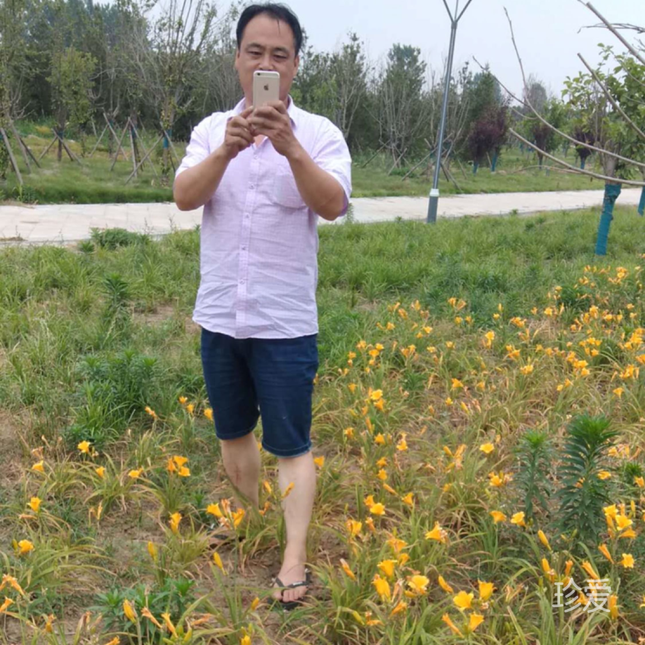 只想要一份安寧