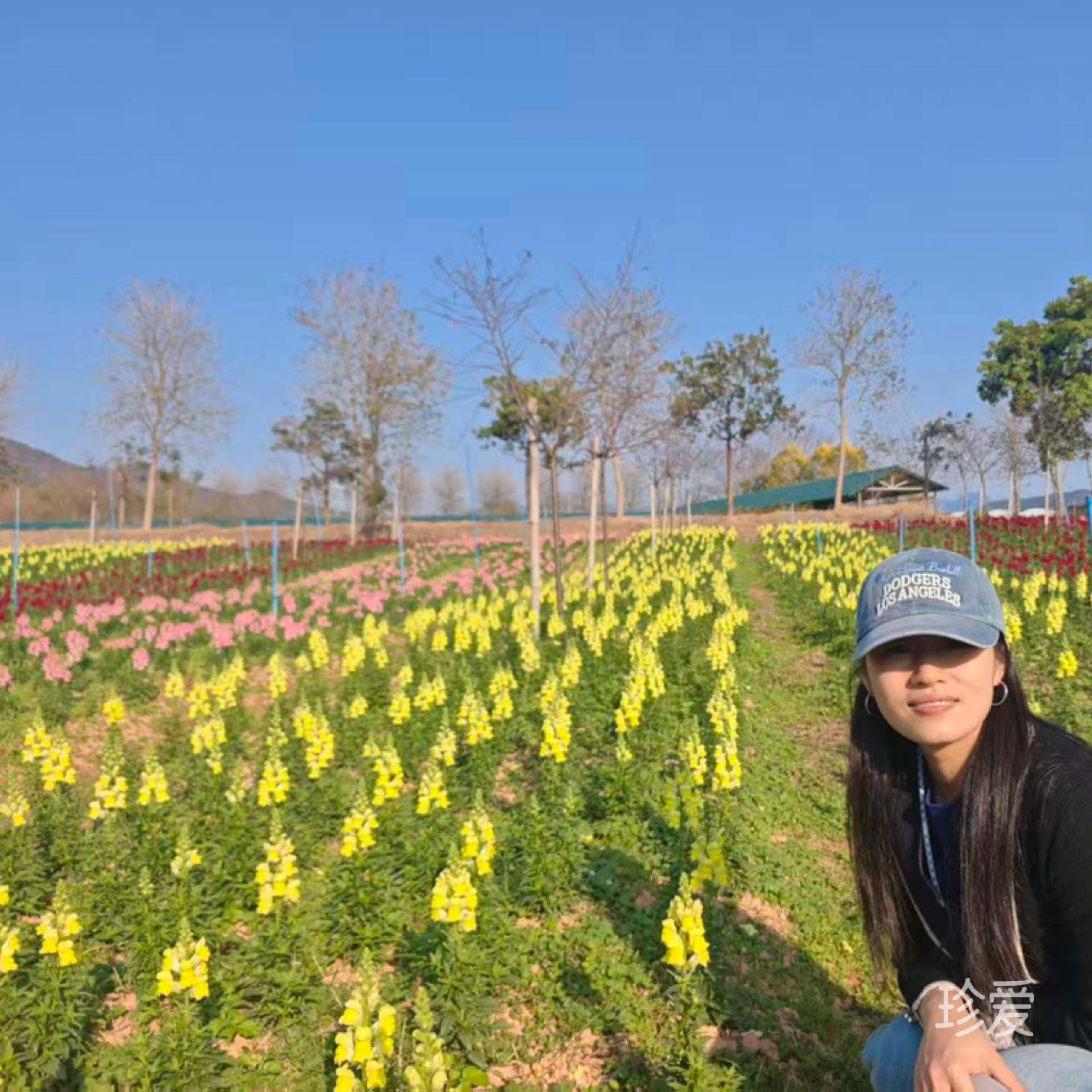 粉红色