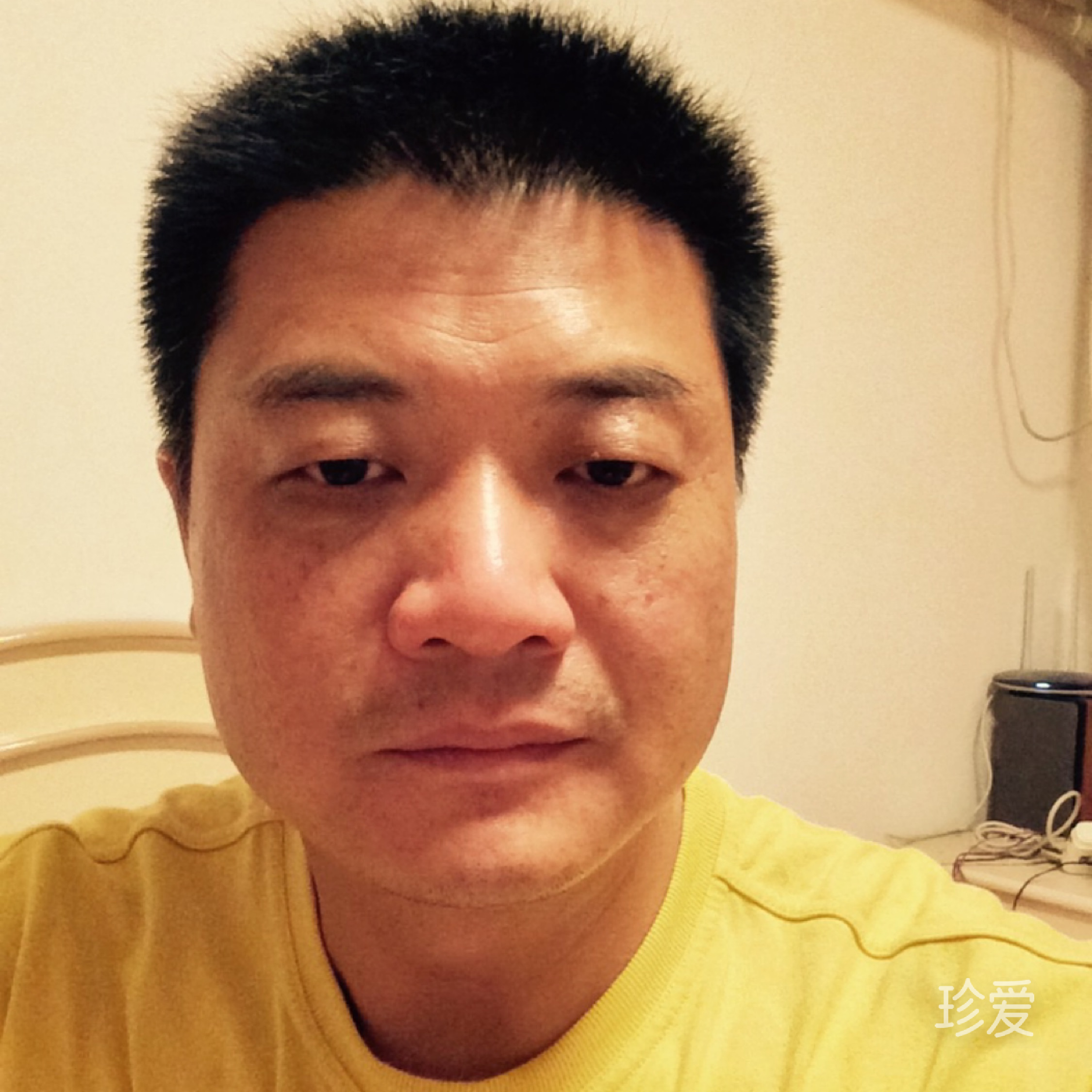 马超龙雀