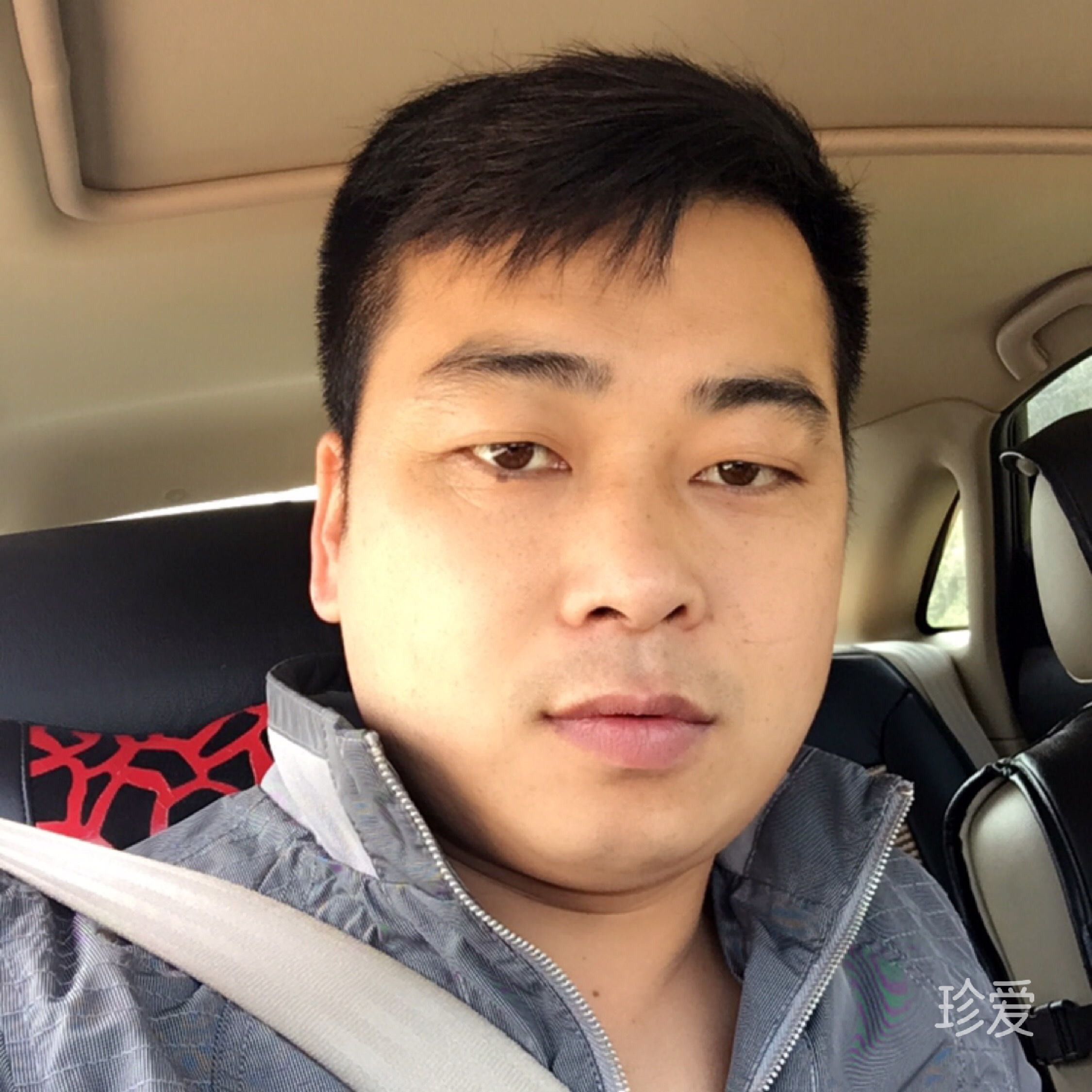 秋风中的落叶