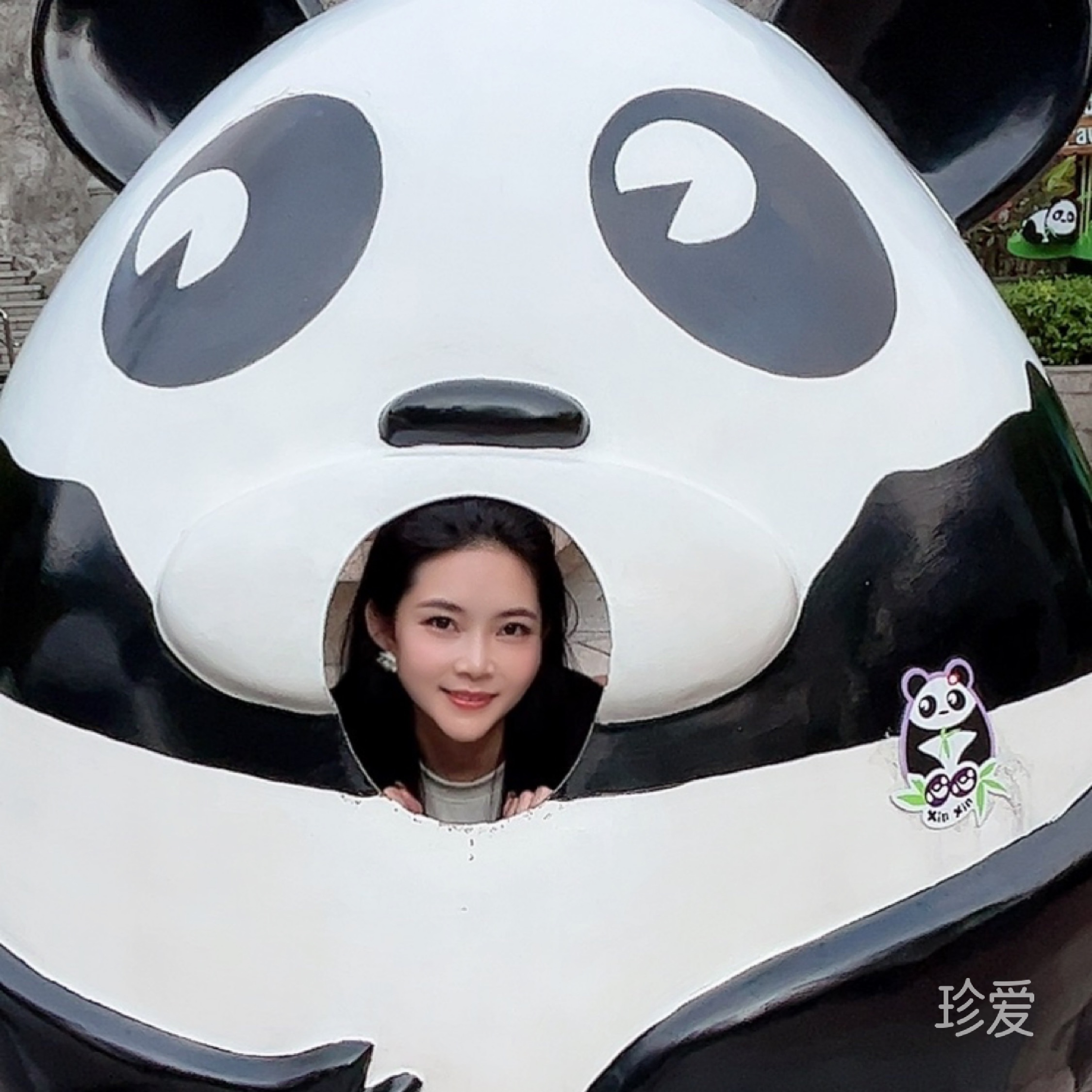 不会游泳的鱼