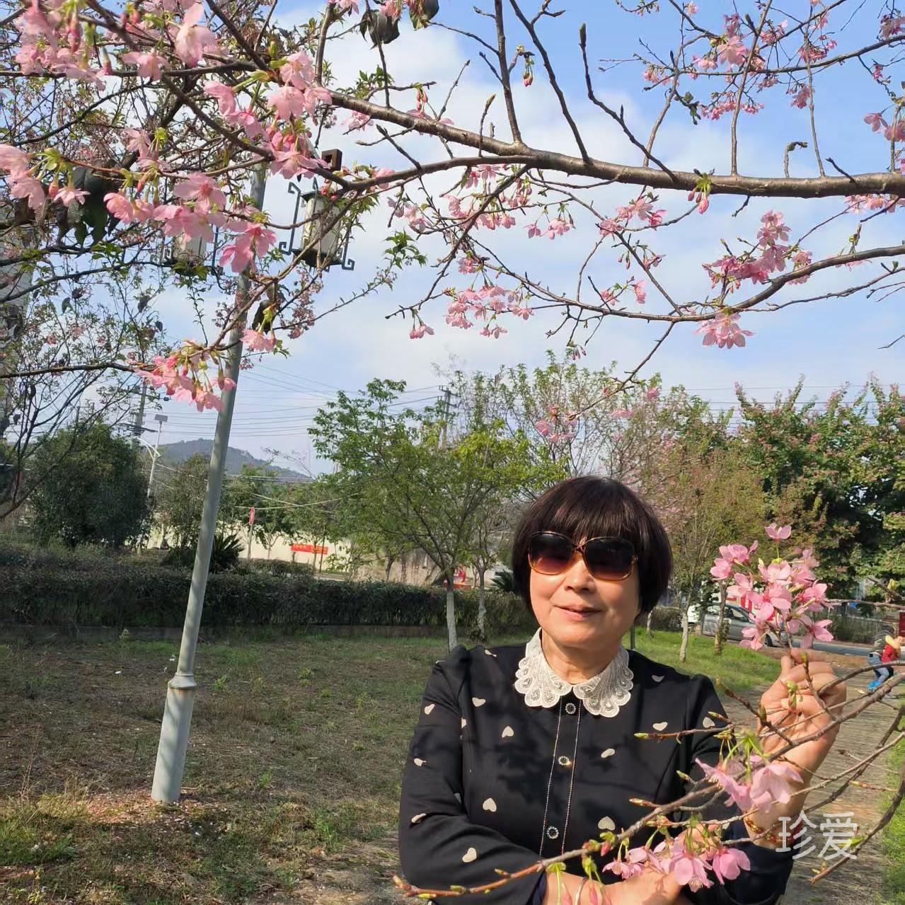 黃木姬數(shù)學(xué)老師