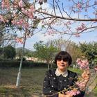 黃木姬數(shù)學(xué)老師